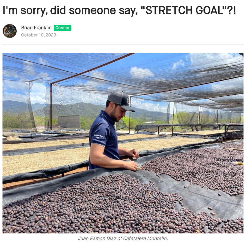 Stretch Goals